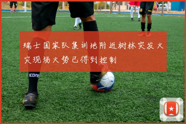 瑞士国家队集训地附近树林突发火灾现场火势已得到控制