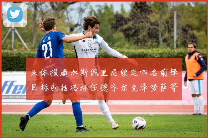 米体报道加斯佩里尼锁定四名前锋目标包括格林伍德齐尔克泽努萨等人
